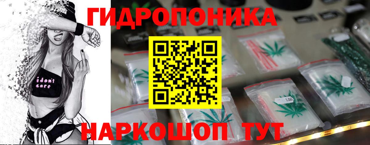 Конопля конопля Черняховск